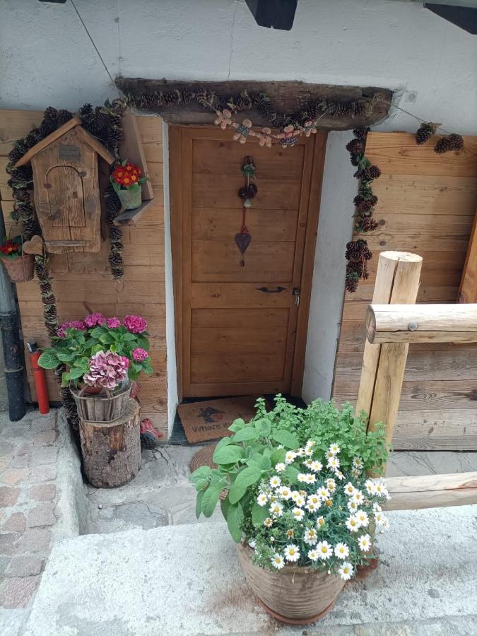 Maison Du Mont Aosta Eksteriør bilde